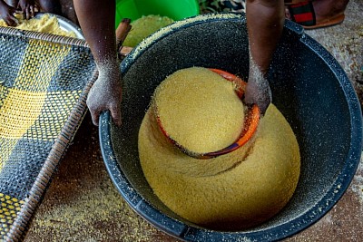 Gold dust supplied from verified African sources for processing and international trade